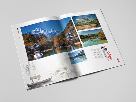 案例展示